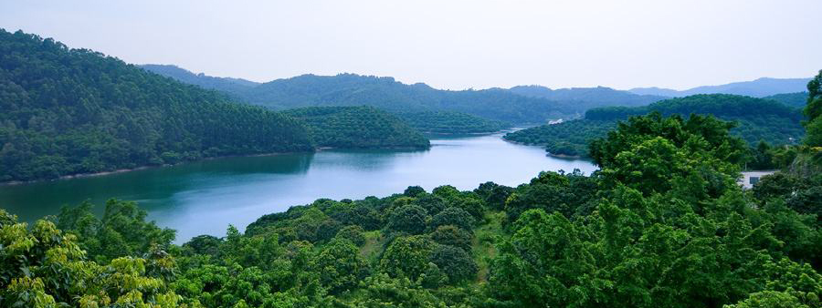 大嶺山森林公園